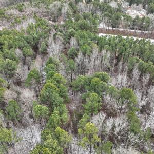 Photo #23 of Off Mt Pleasant Church Road, Manson, NC 12.6 acres