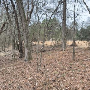 Photo #40 of Off Mt Pleasant Church Road, Manson, NC 12.6 acres
