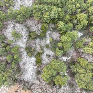 Photo #4 of Off Mt Pleasant Church Road, Manson, NC 12.6 acres