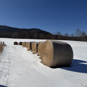Photo #11 of  Off of Stevens Chapel Road,,  Blue Ridge, VA 50.1 acres