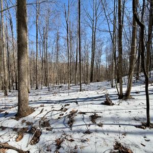 Photo #12 of  Off of Stevens Chapel Road,,  Blue Ridge, VA 50.1 acres