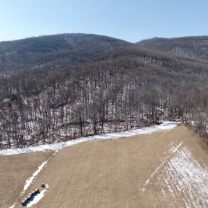 Photo #18 of  Off of Stevens Chapel Road,,  Blue Ridge, VA 50.1 acres