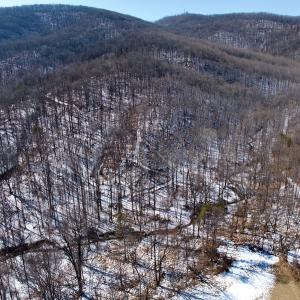 Photo #19 of  Off of Stevens Chapel Road,,  Blue Ridge, VA 50.1 acres