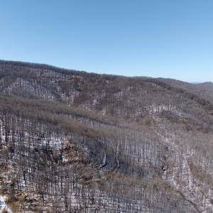 Photo #22 of  Off of Stevens Chapel Road,,  Blue Ridge, VA 50.1 acres