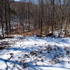 Photo #23 of  Off of Stevens Chapel Road,,  Blue Ridge, VA 50.1 acres