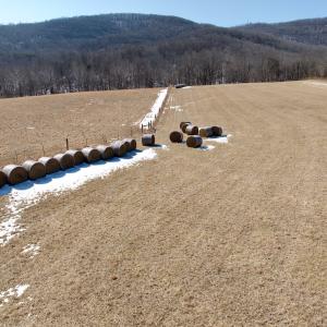 Photo #3 of  Off of Stevens Chapel Road,,  Blue Ridge, VA 50.1 acres