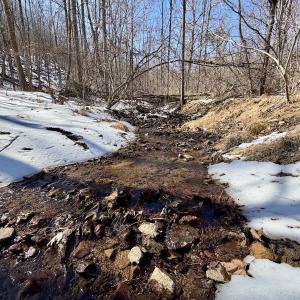 Photo #5 of  Off of Stevens Chapel Road,,  Blue Ridge, VA 50.1 acres