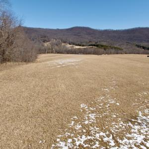 Photo #7 of  Off of Stevens Chapel Road,,  Blue Ridge, VA 50.1 acres