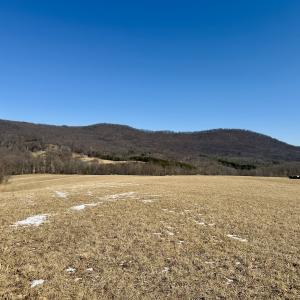 Photo #10 of  Off of Stevens Chapel Road,,  Blue Ridge, VA 50.1 acres