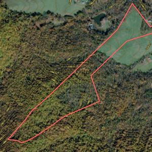 Photo #27 of  Off of Stevens Chapel Road,,  Blue Ridge, VA 50.1 acres