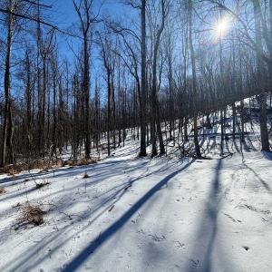 Photo #28 of  Off of Stevens Chapel Road,,  Blue Ridge, VA 50.1 acres