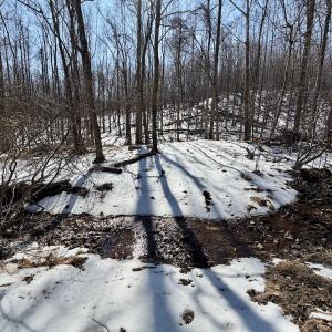 Photo #29 of  Off of Stevens Chapel Road,,  Blue Ridge, VA 50.1 acres