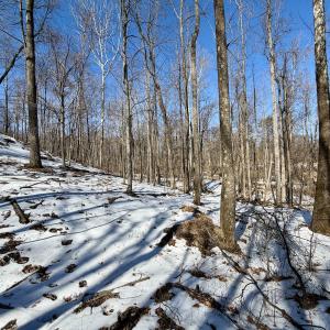 Photo #30 of  Off of Stevens Chapel Road,,  Blue Ridge, VA 50.1 acres