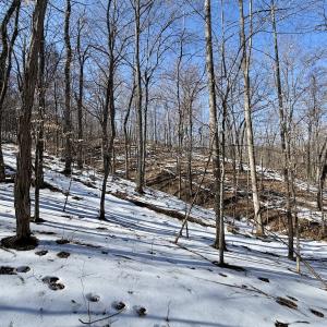 Photo #31 of  Off of Stevens Chapel Road,,  Blue Ridge, VA 50.1 acres