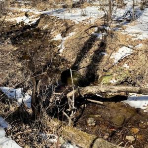 Photo #33 of  Off of Stevens Chapel Road,,  Blue Ridge, VA 50.1 acres