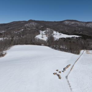 Photo #39 of  Off of Stevens Chapel Road,,  Blue Ridge, VA 50.1 acres