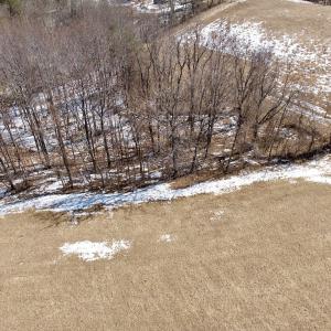 Photo #46 of  Off of Stevens Chapel Road,,  Blue Ridge, VA 50.1 acres