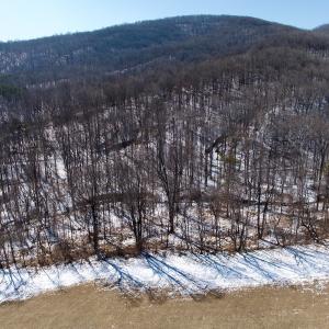 Photo #47 of  Off of Stevens Chapel Road,,  Blue Ridge, VA 50.1 acres