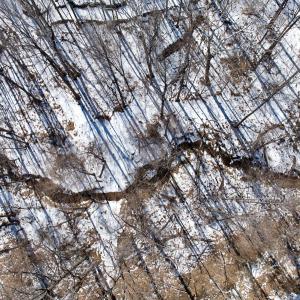 Photo #48 of  Off of Stevens Chapel Road,,  Blue Ridge, VA 50.1 acres