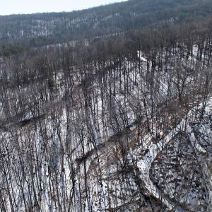 Photo #49 of  Off of Stevens Chapel Road,,  Blue Ridge, VA 50.1 acres