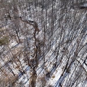 Photo #50 of  Off of Stevens Chapel Road,,  Blue Ridge, VA 50.1 acres