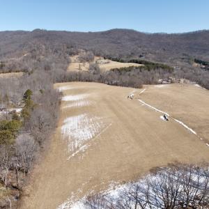 Photo #52 of  Off of Stevens Chapel Road,,  Blue Ridge, VA 50.1 acres