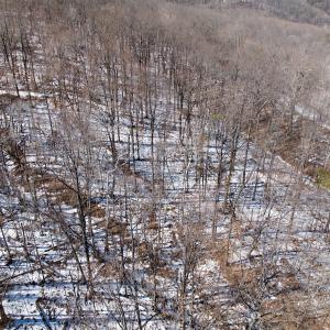 Photo #54 of  Off of Stevens Chapel Road,,  Blue Ridge, VA 50.1 acres