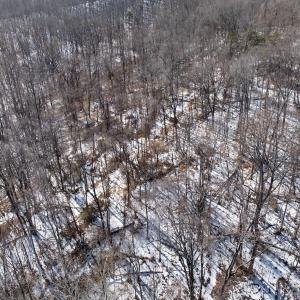 Photo #55 of  Off of Stevens Chapel Road,,  Blue Ridge, VA 50.1 acres