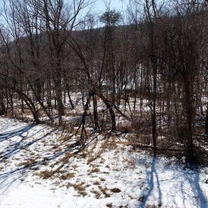 Photo #57 of  Off of Stevens Chapel Road,,  Blue Ridge, VA 50.1 acres