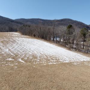 Photo #59 of  Off of Stevens Chapel Road,,  Blue Ridge, VA 50.1 acres