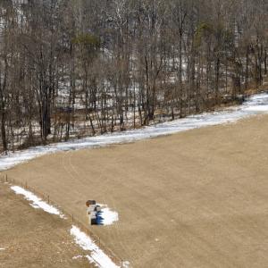 Photo #43 of  Off of Stevens Chapel Road,,  Blue Ridge, VA 50.1 acres