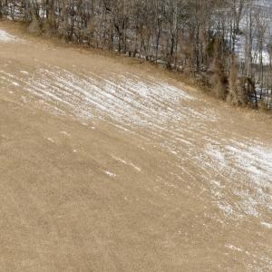 Photo #45 of  Off of Stevens Chapel Road,,  Blue Ridge, VA 50.1 acres