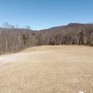 Photo #61 of  Off of Stevens Chapel Road,,  Blue Ridge, VA 50.1 acres