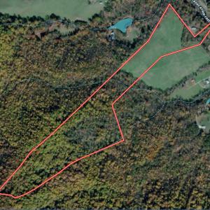 Photo #62 of  Off of Stevens Chapel Road,,  Blue Ridge, VA 50.1 acres