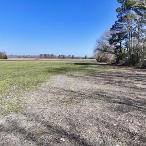 Photo #15 of Off Creek Place Rd, Arapahoe, NC 8.2 acres