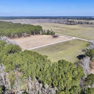 Photo #3 of Off Creek Place Rd, Arapahoe, NC 8.2 acres