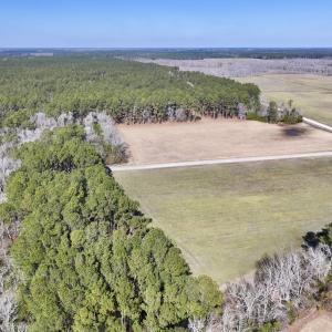 Photo #4 of Off Creek Place Rd, Arapahoe, NC 8.2 acres