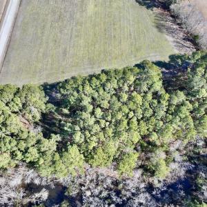 Photo #5 of Off Creek Place Rd, Arapahoe, NC 8.2 acres