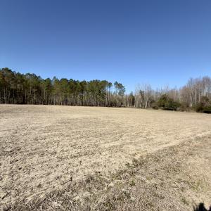Photo #19 of 2249 Joann Branch rd, Lake View, SC 22.3 acres