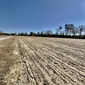 Photo #22 of 2249 Joann Branch rd, Lake View, SC 22.3 acres