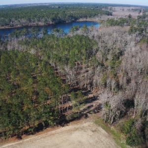 Photo #32 of 2249 Joann Branch rd, Lake View, SC 22.3 acres