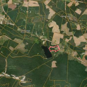 Photo #33 of 2249 Joann Branch rd, Lake View, SC 22.3 acres