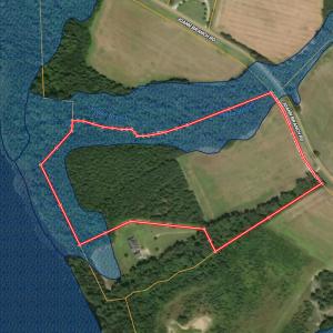 Photo #35 of 2249 Joann Branch rd, Lake View, SC 22.3 acres