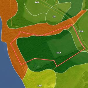 Photo #36 of 2249 Joann Branch rd, Lake View, SC 22.3 acres