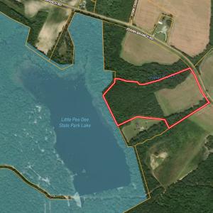 Photo #37 of 2249 Joann Branch rd, Lake View, SC 22.3 acres