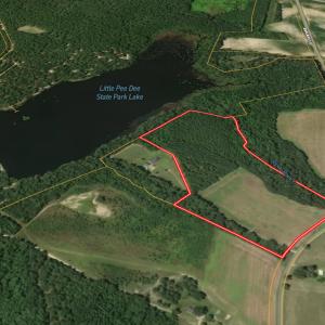 Photo #38 of 2249 Joann Branch rd, Lake View, SC 22.3 acres