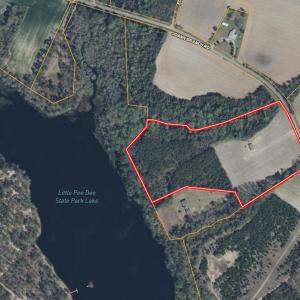 Photo #40 of 2249 Joann Branch rd, Lake View, SC 22.3 acres