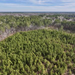 Photo #14 of Off Old Washington Rd, Vanceboro, NC 43.0 acres
