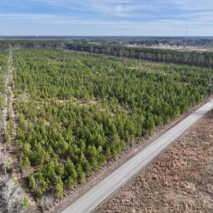 Photo #17 of Off Old Washington Rd, Vanceboro, NC 43.0 acres