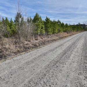 Photo #19 of Off Old Washington Rd, Vanceboro, NC 43.0 acres